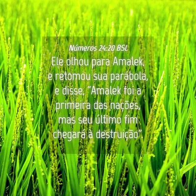 Picture 04 - Números 24:20 BSL - Ele olhou para Amalek, e retomou sua parábola, e - Bible Verse Picture