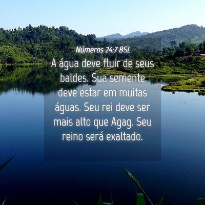Picture 04 - Números 24:7 BSL - A água deve fluir de seus baldes. Sua semente - Bible Verse Picture