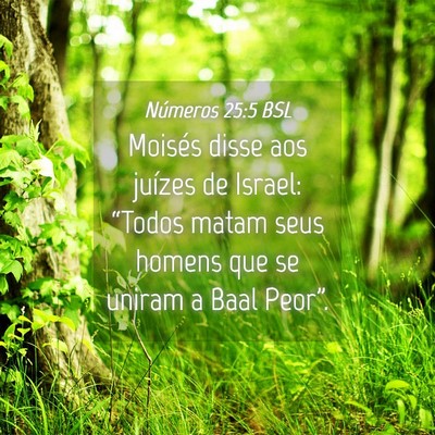 Picture 04 - Números 25:5 BSL - Moisés disse aos juízes de Israel: “Todos - Bible Verse Picture