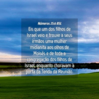 Picture 04 - Números 25:6 BSL - Eis que um dos filhos de Israel veio e trouxe a - Bible Verse Picture