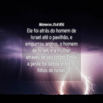 Picture 04 - Números 25:8 BSL - Ele foi atrás do homem de Israel até o - Bible Verse Picture