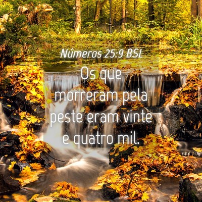 Picture 04 - Números 25:9 BSL - Os que morreram pela peste eram vinte e quatro - Bible Verse Picture