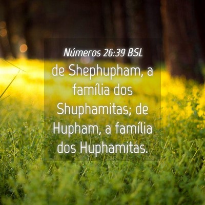 Picture 04 - Números 26:39 BSL - de Shephupham, a família dos Shuphamitas; de - Bible Verse Picture