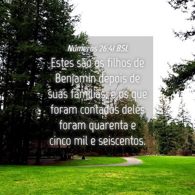 Picture 04 - Números 26:41 BSL - Estes são os filhos de Benjamin depois de suas - Bible Verse Picture