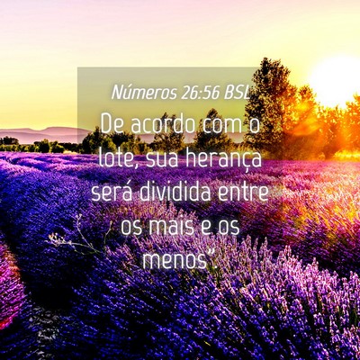 Picture 04 - Números 26:56 BSL - De acordo com o lote, sua herança será dividida - Bible Verse Picture