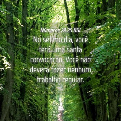 Picture 04 - Números 28:25 BSL - No sétimo dia, você terá uma santa - Bible Verse Picture