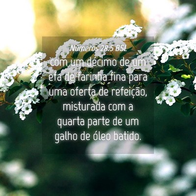 Picture 04 - Números 28:5 BSL - com um décimo de um efa de farinha fina para uma - Bible Verse Picture