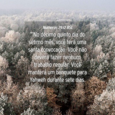 Picture 04 - Números 29:12 BSL - “'No décimo quinto dia do sétimo mês, você - Bible Verse Picture