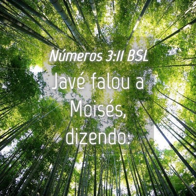 Picture 04 - Números 3:11 BSL - Javé falou a Moisés, - Bible Verse Picture