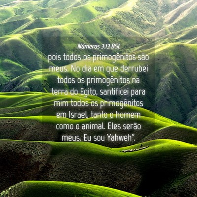 Picture 04 - Números 3:13 BSL - pois todos os primogênitos são meus. No dia em - Bible Verse Picture