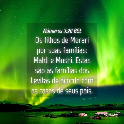 Picture 04 - Números 3:20 BSL - Os filhos de Merari por suas famílias: Mahli e - Bible Verse Picture