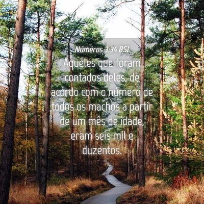 Picture 04 - Números 3:34 BSL - Aqueles que foram contados deles, de acordo com o - Bible Verse Picture