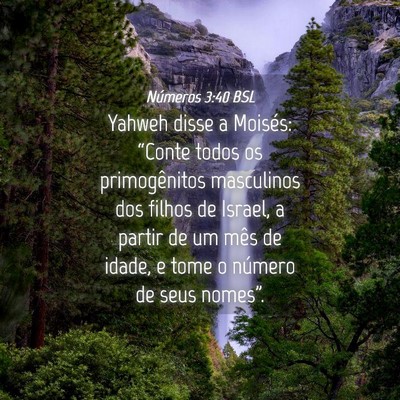 Picture 04 - Números 3:40 BSL - Yahweh disse a Moisés: “Conte todos os - Bible Verse Picture