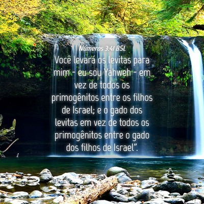 Picture 04 - Números 3:41 BSL - Você levará os levitas para mim - eu sou Yahweh - Bible Verse Picture