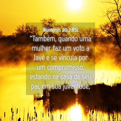 Picture 04 - Números 30:3 BSL - “Também, quando uma mulher faz um voto a Javé - Bible Verse Picture