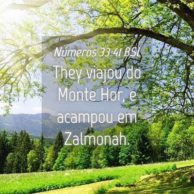 Picture 04 - Números 33:41 BSL - They viajou do Monte Hor, e acampou em - Bible Verse Picture