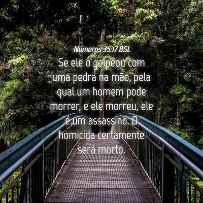 Picture 04 - Números 35:17 BSL - Se ele o golpeou com uma pedra na mão, pela qual - Bible Verse Picture