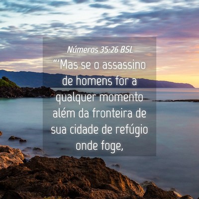 Picture 04 - Números 35:26 BSL - “'Mas se o assassino de homens for a qualquer - Bible Verse Picture