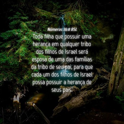 Picture 04 - Números 36:8 BSL - Toda filha que possuir uma herança em qualquer - Bible Verse Picture