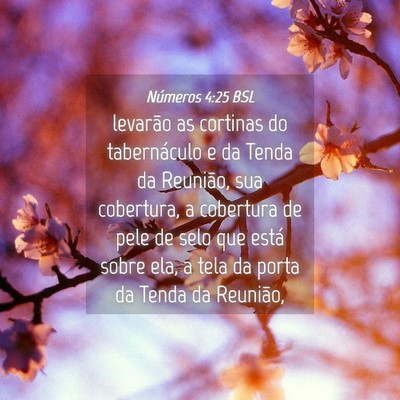 Picture 04 - Números 4:25 BSL - levarão as cortinas do tabernáculo e da Tenda - Bible Verse Picture