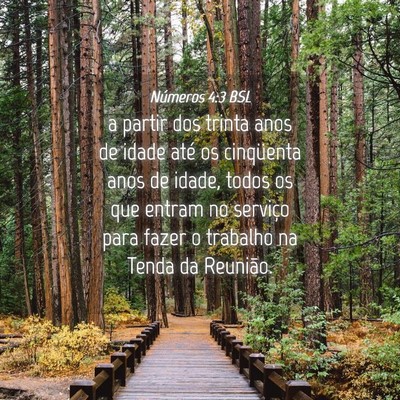 Picture 04 - Números 4:3 BSL - a partir dos trinta anos de idade até os - Bible Verse Picture