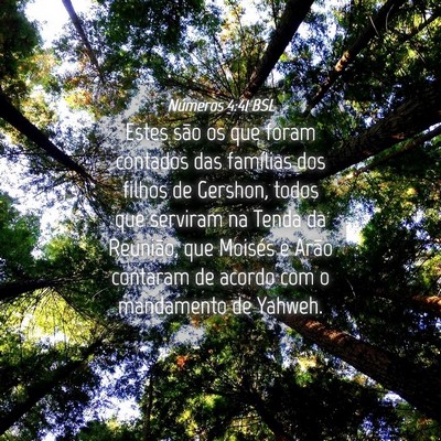 Picture 04 - Números 4:41 BSL - Estes são os que foram contados das famílias - Bible Verse Picture