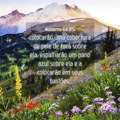 Picture 04 - Números 4:6 BSL - colocarão uma cobertura de pele de foca sobre - Bible Verse Picture