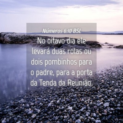 Picture 04 - Números 6:10 BSL - No oitavo dia ele levará duas rolas ou dois - Bible Verse Picture