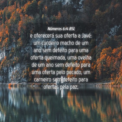 Picture 04 - Números 6:14 BSL - e oferecerá sua oferta a Javé: um cordeiro - Bible Verse Picture