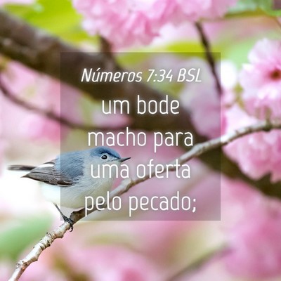 Picture 04 - Números 7:34 BSL - um bode macho para uma oferta pelo - Bible Verse Picture