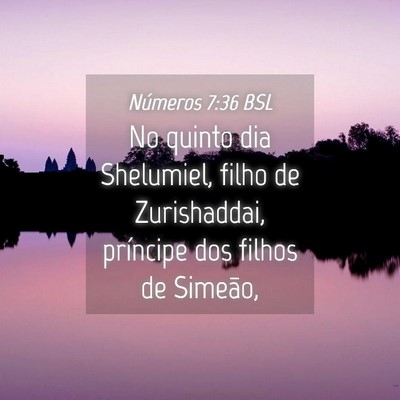 Picture 04 - Números 7:36 BSL - No quinto dia Shelumiel, filho de Zurishaddai, - Bible Verse Picture