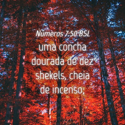 Picture 04 - Números 7:50 BSL - uma concha dourada de dez shekels, cheia de - Bible Verse Picture