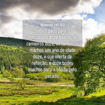 Picture 04 - Números 7:87 BSL - todo o gado para o holocausto doze touros, os - Bible Verse Picture