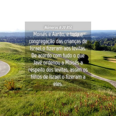 Picture 04 - Números 8:20 BSL - Moisés e Aarão, e toda a congregação das - Bible Verse Picture