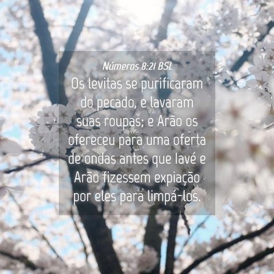 Picture 04 - Números 8:21 BSL - Os levitas se purificaram do pecado, e lavaram - Bible Verse Picture