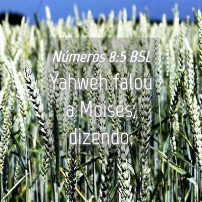Picture 04 - Números 8:5 BSL - Yahweh falou a Moisés, - Bible Verse Picture
