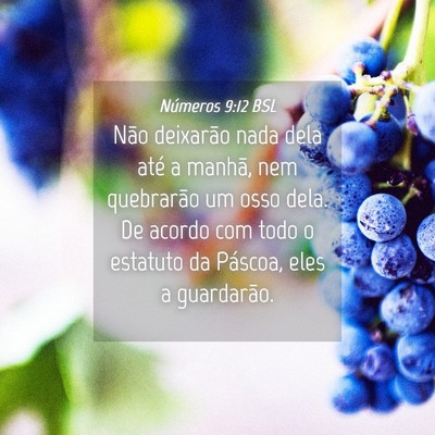 Picture 04 - Números 9:12 BSL - Não deixarão nada dela até a manhã, nem - Bible Verse Picture
