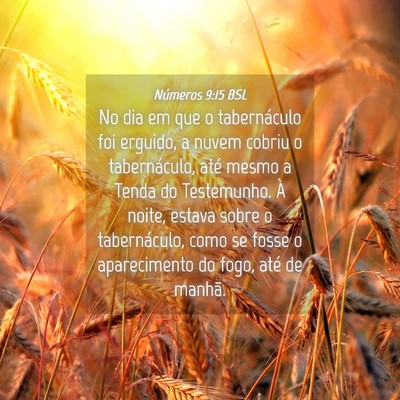 Picture 04 - Números 9:15 BSL - No dia em que o tabernáculo foi erguido, a nuvem - Bible Verse Picture
