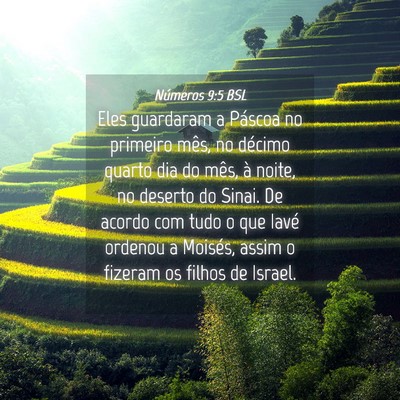 Picture 04 - Números 9:5 BSL - Eles guardaram a Páscoa no primeiro mês, no - Bible Verse Picture