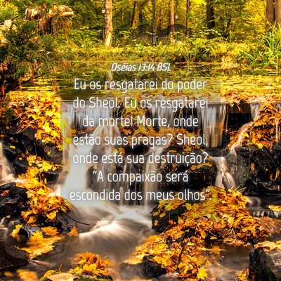 Picture 04 - Oséias 13:14 BSL - Eu os resgatarei do poder do Sheol. Eu os - Bible Verse Picture
