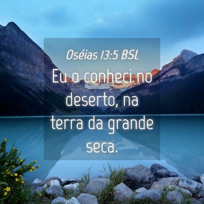 Picture 04 - Oséias 13:5 BSL - Eu o conheci no deserto, na terra da grande - Bible Verse Picture