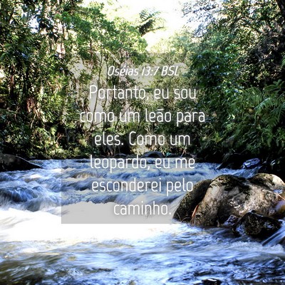 Picture 04 - Oséias 13:7 BSL - Portanto, eu sou como um leão para eles. Como um - Bible Verse Picture