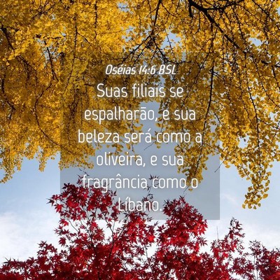 Picture 04 - Oséias 14:6 BSL - Suas filiais se espalharão, e sua beleza será - Bible Verse Picture