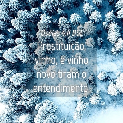 Picture 04 - Oséias 4:11 BSL - Prostituição, vinho, e vinho novo tiram o - Bible Verse Picture