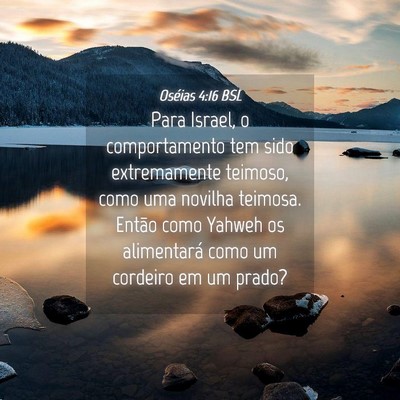 Picture 04 - Oséias 4:16 BSL - Para Israel, o comportamento tem sido - Bible Verse Picture