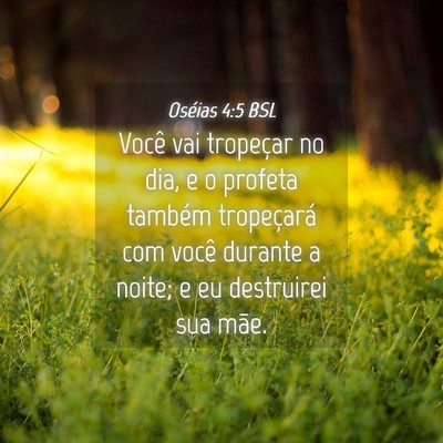 Picture 04 - Oséias 4:5 BSL - Você vai tropeçar no dia, e o profeta também - Bible Verse Picture