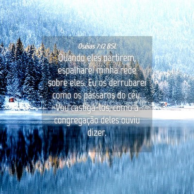 Picture 04 - Oséias 7:12 BSL - Quando eles partirem, espalharei minha rede sobre - Bible Verse Picture
