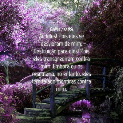 Picture 04 - Oséias 7:13 BSL - Ai deles! Pois eles se desviaram de mim. - Bible Verse Picture