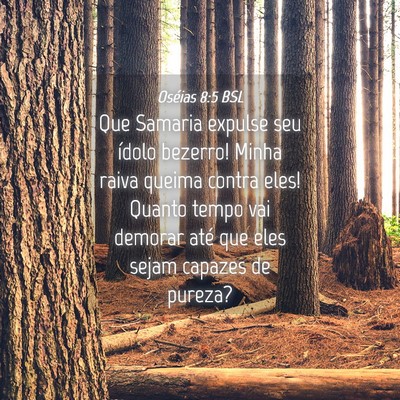 Picture 04 - Oséias 8:5 BSL - Que Samaria expulse seu ídolo bezerro! Minha - Bible Verse Picture