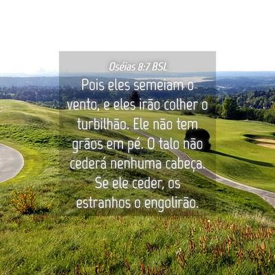 Picture 04 - Oséias 8:7 BSL - Pois eles semeiam o vento, e eles irão colher o - Bible Verse Picture